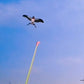 🎣🪁Innovative fishing rod kites✨✨Easy to control, endless outdoor fun for children!