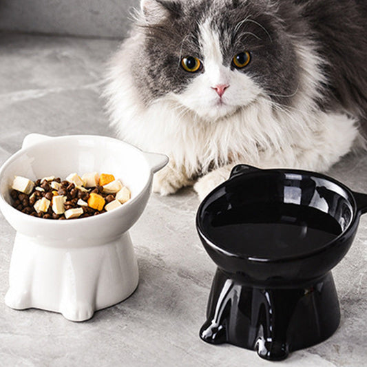 ⏰LAST DAY - BUY 1 GET 1 FREE!!💝Ergonomic Elevated Cat Bowl