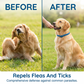 📢📢50% OFF !! ⏰Natural Essential Oil Pet Pest Repellent Collar