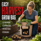 ⏳Limited-time 50% off⏰Large Capacity PE Grow Bags (18L/26L/38L) for Potato, Tomato & Vegetable Gardening🌱🥔
