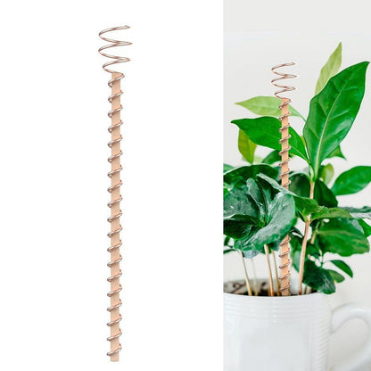 📢📢50% OFF !! ⏰One Thread - Electro Culture Copper Antenna